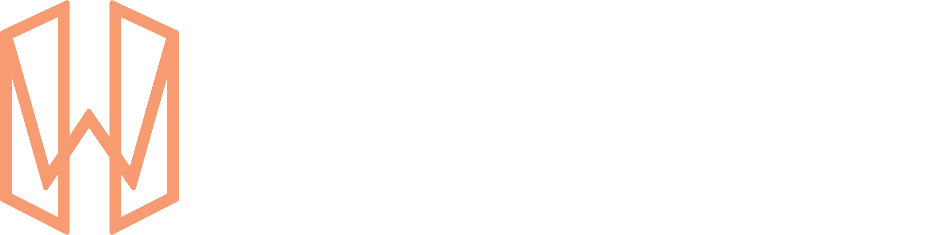 HireWise Logo